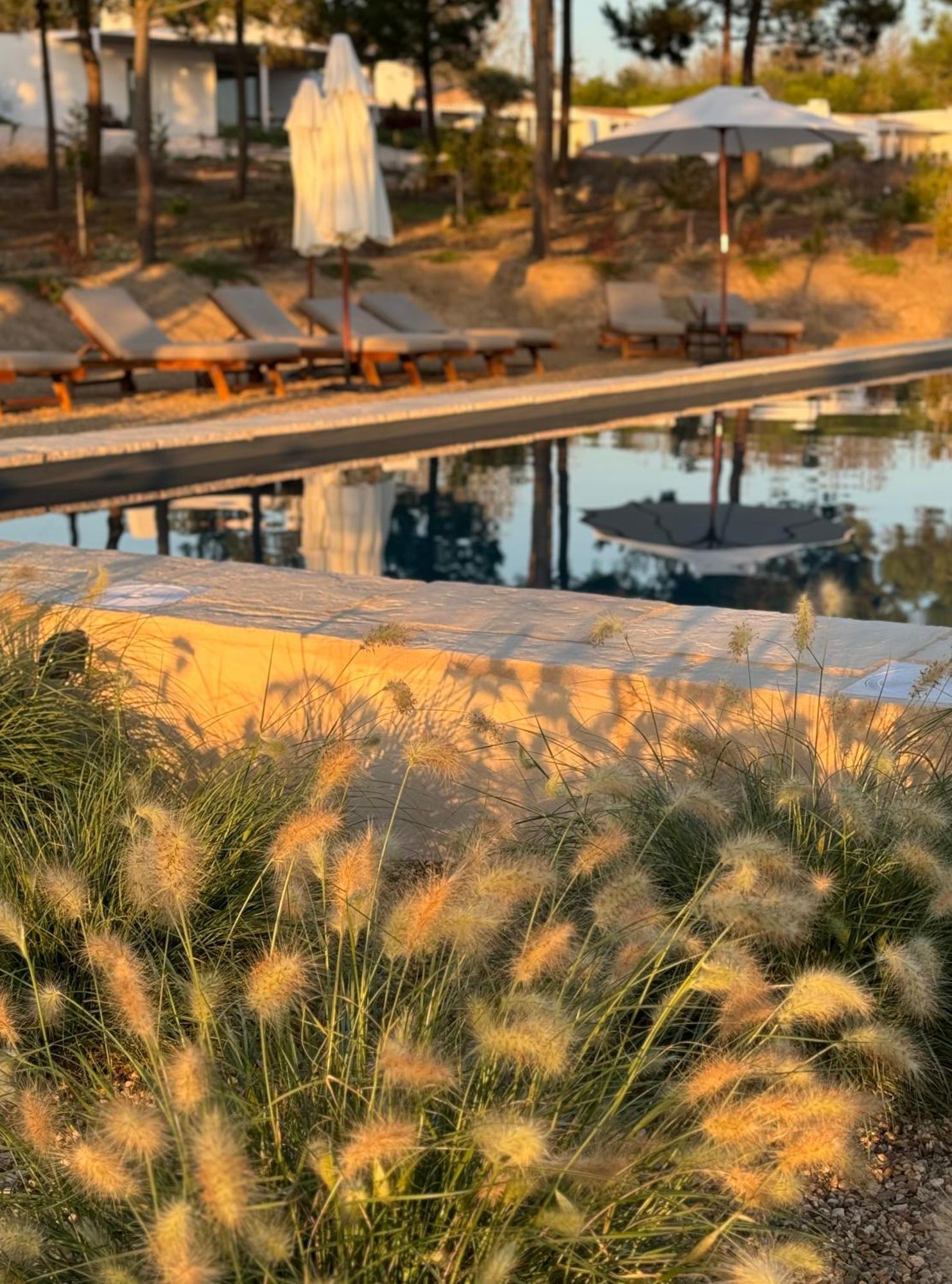 Amaria Konuk evi Aljezur Dış mekan fotoğraf